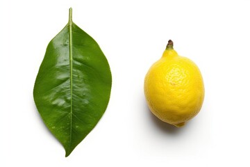 fresh lemon and a green leaf isolated on a white background. Generative AI