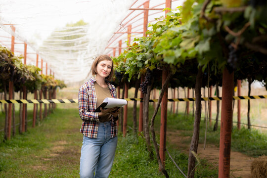 White enturpurner woman recording growth of grape in farm to preparing for vine production with smile and prown of occupation and productivity.
