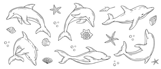 Set of sketches, doodles of dolphins, starfish, shells.Vector graphics.