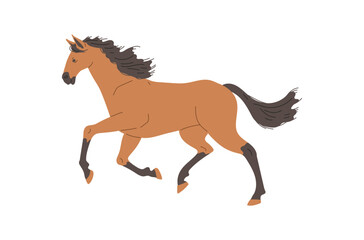 Fototapeta na wymiar Horse racer galloping profile view flat vector illustration isolated on white.