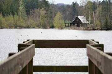 Drewniana chatka ukryta w lesie w otoczeniu jeziora