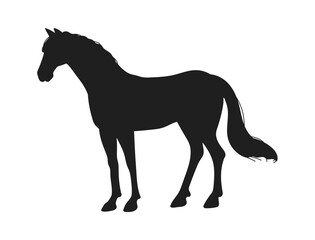 Black silhouette of standing horse, flat vector illustration isolated on white background.