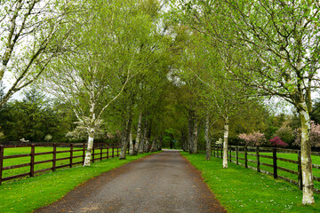 path in the park