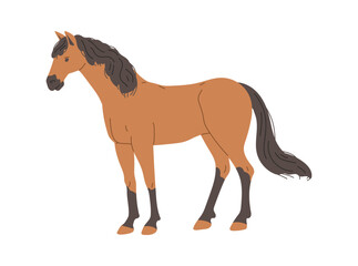 Standing brown horse with dark mane and tail flat style