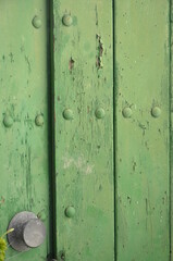 Fototapeta premium puerta verde