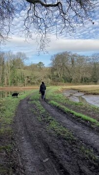 A woman walks her black labrador retriver dog along a dirt road by the side of a river on a sunny, winter morning in the beautiful South Hams - Erme Estuary, Devon, UK