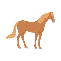 Fototapeta na wymiar Standing brown horse with yellow mane and tail flat style