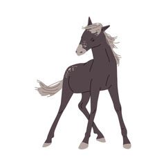 Horse or foal with mane fluttering in the wind flat vector illustration isolated.