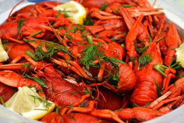 Cooked red boiled crayfish in a plate. Close-up of crayfish with herbs and lemon.