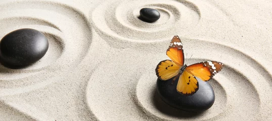 Wall murals Spa Butterfly with stones on sand with lines. Zen concept