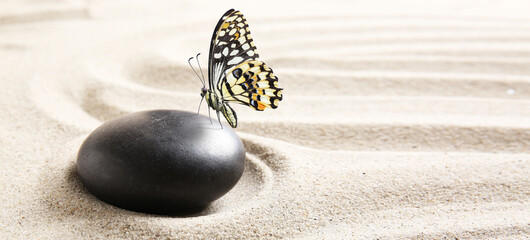 Butterfly with stone on sand with lines. Zen concept