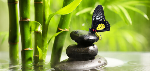 Butterfly with stones and bamboo near water in tropical garden. Zen concept