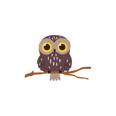 Night owl brown-coloured bird on branch, flat vector illustration isolated.