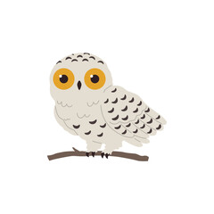 Polar arctic owl with pale-coloured wings flat vector illustration isolated.