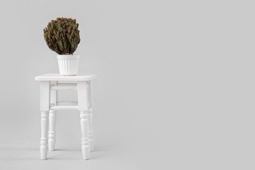 Stool with cacti in pot on grey background