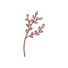 Naklejka premium Willow tree branch, hand drawn sketch vector illustration isolated on white background.