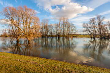 Almost bare trees in early morning sunlight. The trees are reflected in the water that has flooded the area. The photo was taken on a sunny winter day in the Dutch province of North Brabant.