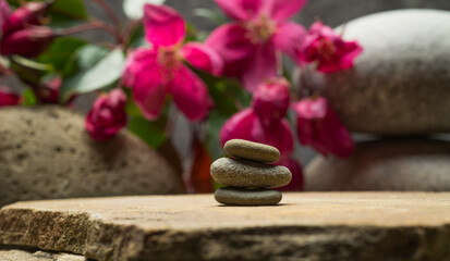Obraz na płótnie Canvas composition with beautiful stones and plants for product presentation podium background.zen stones and flowers with free area for product for podium background.