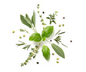 round herb ornament made of various fresh Mediterranean herbs laid out in a circle, isolated food / cooking design element with transparent background and subtle natural shadows, top view / flat lay