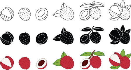 Lychee Fruit Clipart - Outline, Silhouette & Color