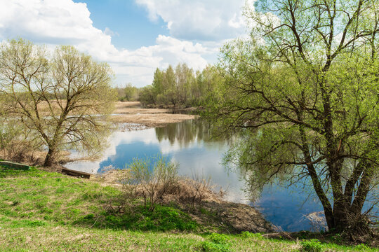 View of the river from the hill. Spring landscape with vine trees on the shore of a pond and young greenery