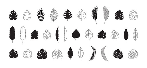 Leaf palm, jungle tropic plant vector icon, black flat and line design. Summer set isolated on white background. Exotic simple illustration
