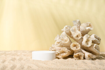 Decorative plaster podium and coral in sand on light background