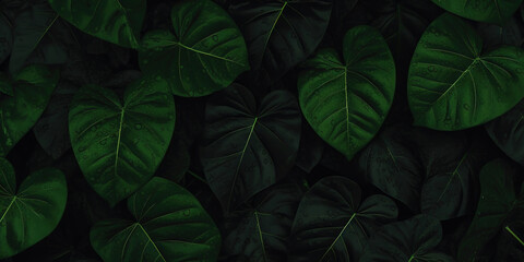 closeup nature view of green leaf and palms background. Flat lay, dark nature concept, tropical leaf. Generative AI
