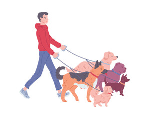 Man working as dog walker or pet sitter, hand drawn flat vector illustration isolated on white background.