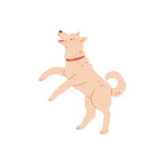 Trained playful dog or puppy bouncing flat cartoon vector illustration isolated.