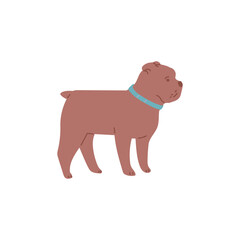 Dog or puppy Bulldog breed, flat cartoon vector illustration isolated on white.