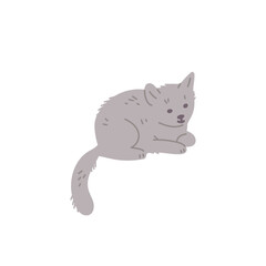 Cute smiling gray lying cat flat style, vector illustration