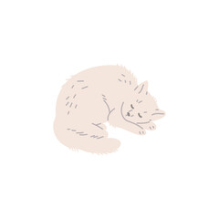 Cute sleeping light cat flat style, vector illustration