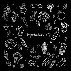Cute doodle set with vegetables. Great for menu design, packaging, cooking book, banners or advertising. Isolated on black background. Vector illustration EPS10.