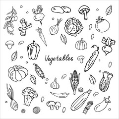 Big hand drawn set with vegetables and text. Mushrooms, carrots, pumpkin, pepper, cucumber, tomato and other healthy food. Doodle vector illustration EPS10. Isolated on white background