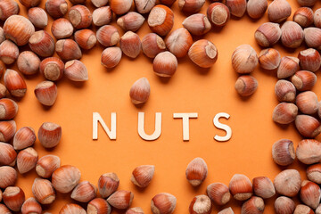 Frame made of shelled hazelnuts on orange background