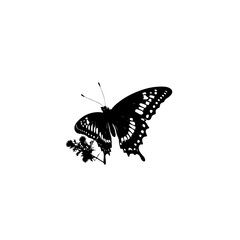 Plakat Nature Butterfly Vector Logo Fitness Sports Icon Tattoo SVG