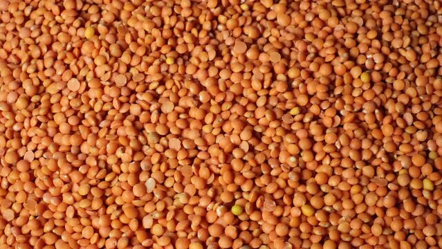 Slow motion of beautiful peeled, natural dried lentils rotating on a plate. Close-up of red lentils. Organic orange coloured seeds, healthy lifestyle, high protein product concept with copy space.