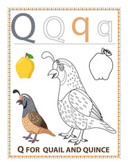 postage stamp with bird