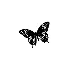 Fototapeta na wymiar Nature Butterfly Vector Logo Fitness Sports Icon Tattoo SVG