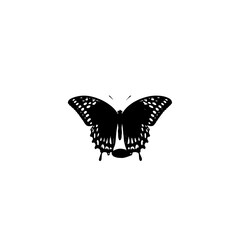 Fototapeta na wymiar Nature Butterfly Vector Logo Fitness Sports Icon Tattoo SVG