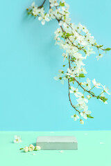 Decorative podium and blooming branch on blue background