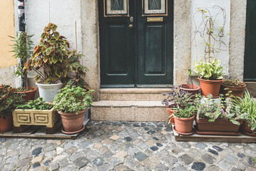 Fototapeta na wymiar Stoop with plenty colorful potted plants as a decoration for front door apartment building