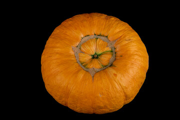 Orange pumpkin contrasts elegantly against a sleek black background. Isolation on black. Closeup 