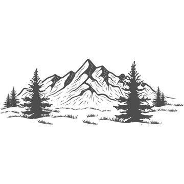 hand drawn mountain design. illustration of mountains and pine trees.