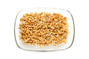 Glass bowl with sprouted wheat on white background