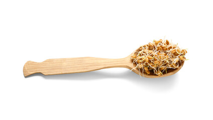 Wooden spoon with sprouted wheat on white background