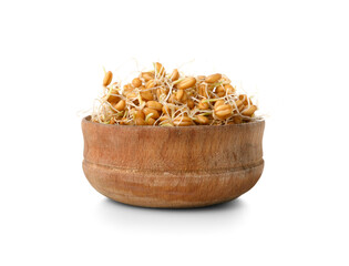 Bowl with sprouted wheat on white background
