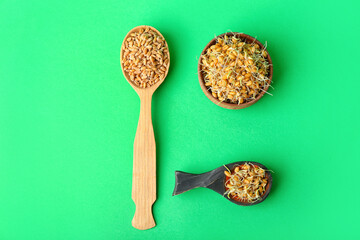 Bowl and spoon with sprouted wheat on green background