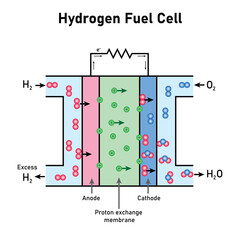 Schematic diagram of hydrogen fuel cell. Electrochemical cell. Vector illustration isolated on white background.